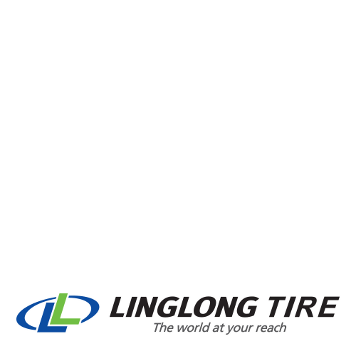 Linglong Nord Master 205/40R17 84T: 190 km/h